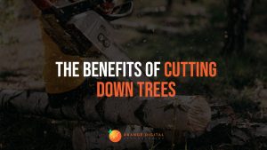 The Benefits of Cutting Down Trees