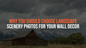 Barn house set in mountain background.