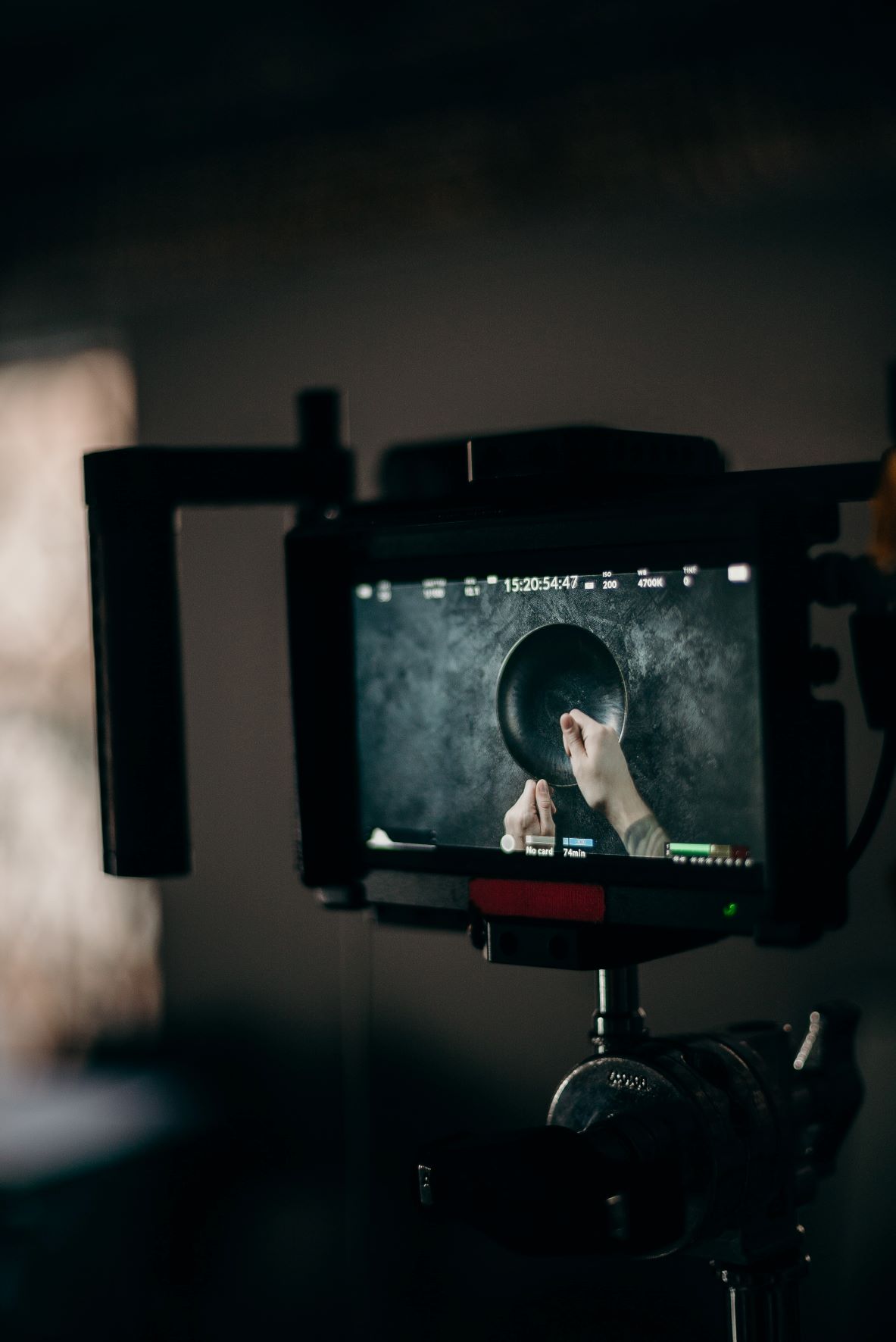 camera monitor