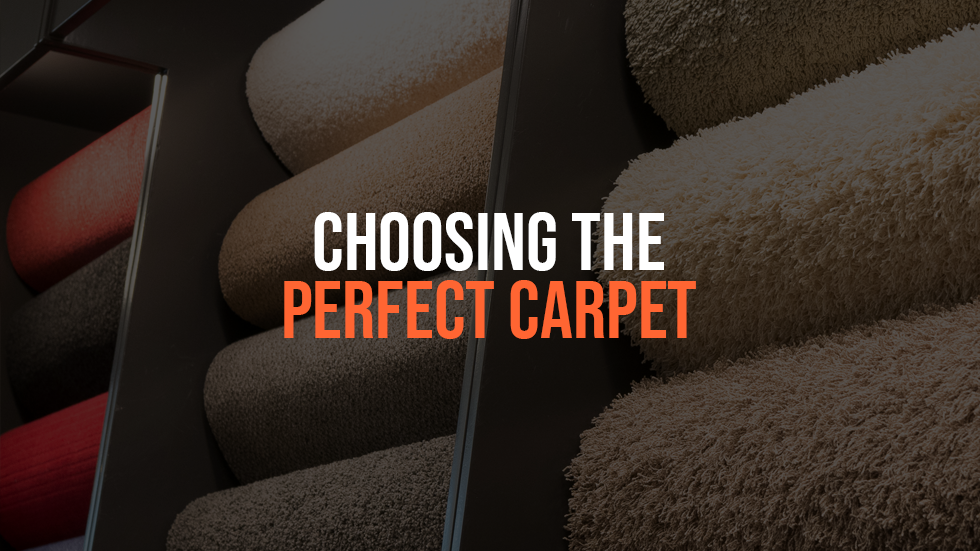 Banner with: Choosing the perfect carpet