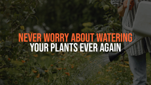 Person holding watering can and watering garden plants.