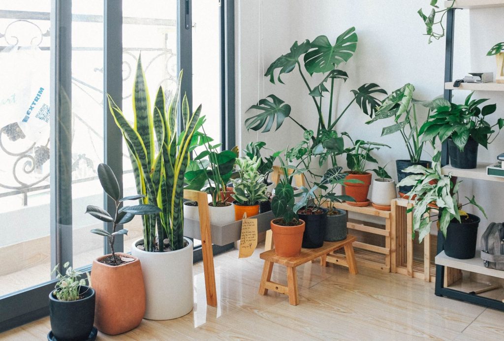 indoor garden with multiple planters