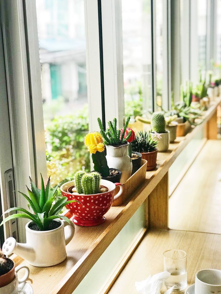 a long line of succulents planters