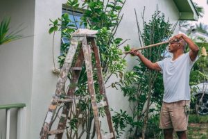 A man is painting the outside walls of a house.