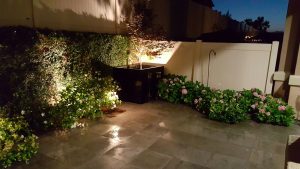 Photo of a garden path lighting at night.