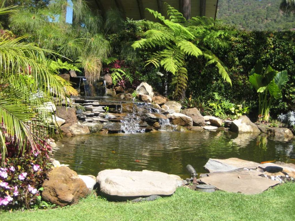Beautifying the outdoor with sustainable landscape design while adding value.