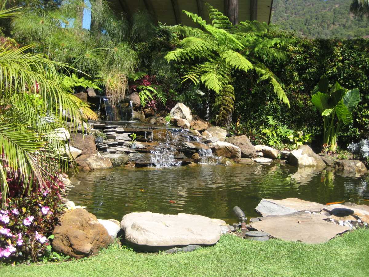 Beautifying the outdoor with sustainable landscape design while adding value.