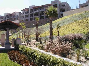 there are important things to consider in the allure of landscape design